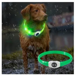 Kragen neue LED Luminous Dog Collar PVC wasserdicht, für große mittelgroße Hundekragen USB -Nacht Sicherheit Haustier Glühen Accessoires