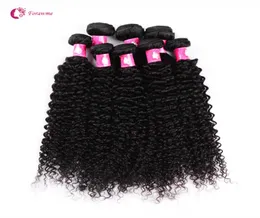 Whole 10bundleslot 7A Virgin Brazilian Afro Curly Wave Hair Weaves 1B Natural Black Human Remy Hair Weft For Black Women Fora4754510