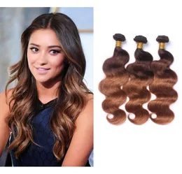 430 Ombre Body Wave 3 Bundles 100 peruanische nasse und gewellte Menschenhaarwebart Two Tone Body Wave Ombre Hair Bundles Extensions6606531