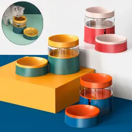 Forniture Fontana con acqua potabile automatica per cuccioli di gatto Distributore d'acqua per animali domestici Conservazione degli alimenti Ciotole per gattini Accessori per animali domestici comedero gato