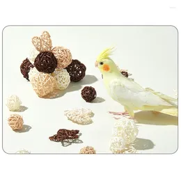Other Bird Supplies Parrots Biting Toy Pet Swing Pecking Cage Chewing Balls 10Pcs