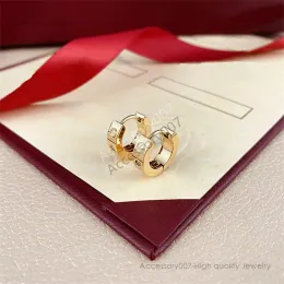 designer jewelry earing luxury earrings designer for women crystal small gold hoop earring stainless steel jewelries jewellery Wedding gift
