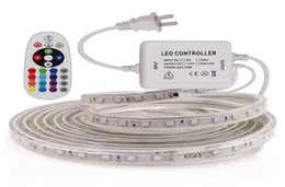 Led Strips 10M 50M 110V220V High Voltage SMD 5050 RGB Led Strips Lights WaterproofIR Remote Control Power Supply8486448