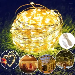 Christmas Decorations Usb Led String Lights Copper Wire Garland Light Waterproof Fairy For Wedding Party Decoration 2024 Year
