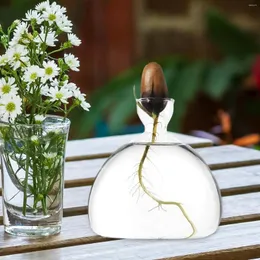 Vasen Avocado-Samen-Sprossen-Startervase für wachsende Pflanzen, Büro-Schreibtisch-Zubehör, Innendekoration, Geburtstag, Pflanzgefäß, Geschenk für Mädchen