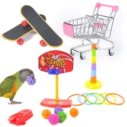 Leksaker nya 1set Small Bird Toys Parrot Stand Skateboard Bird Accessories Claws Traning Mini Slide Plate For African Grey Parrot