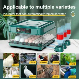 Accessoires 9/15 Eier Inkubator mit Schubladen -Mini -Ei -Inkubator mit automatischem Wasser -Ionen -Wasserbett -Wiederholung und Temperatur -Kontro