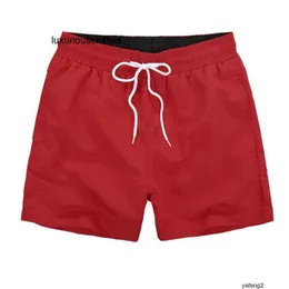 2024 Herren-Bademode Crocodile Herren Sexy Sommer Schwimmen Kurze Badehose Shorts Frankreich Mode Schnell trocknende Männer Lässige Badeshorts Hohe Qualität 2XL9XTK