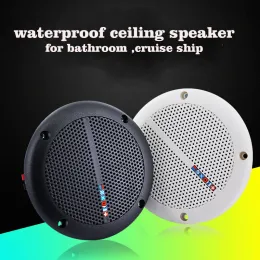 Speakers 2 Pcs Full Range 25W Waterproof Fireproof And MoistureProof Marine Ceiling Passive Audio HiFi Indoor HighPower Speake SUMWEE
