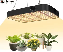 Luz de crescimento regulável 600W espectro completo à prova d'água pode cobrir luzes LED de plantas para adaptar diferentes estágios de cultivo de plantas com efeito de estufa H4745066