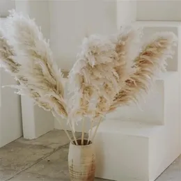 80120cm bröllopsheminredning fluffig pumpus vit rosa beige stor stor torr vass pumpor hög lång naturtorkad blomma pampas gräs 240223