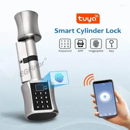 Bloqueio inteligente bluetooth de madeira tuya senha de impressão digital chave do cartão ic 60mm 70mm 80mm cilindrolock app controle remoto eletrônico