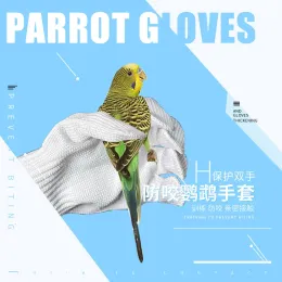 Träning av papegojor Antibithandskar Pet Catching Bird Flying Parrot Training Wire Handskar Förhindra Biting Protect Hands Bird Training Supplies