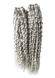 Brazilian Hair Weave Bundles 2pcslot grey weave Human Hair Bundles 200g Virgin Hair Extension 2 PCS 8181645