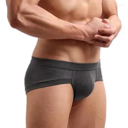 Underpants MJARTORIA 1 PC 2024 Venda Direta da Fábrica Modal Sólida Homens Briefs Mens Breve Algodão Biquíni Cueca Pant Sexy