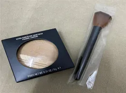 Fosforlu Ekstra Boyut Skinfinish Toz 9G Preslenmiş Toz Vurgulama Temelini Fırça Bronzer'lı Bıkçıklar 8012718