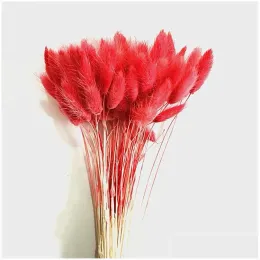 Decorative Flowers Wreaths Hare Tail Grass Dried Flower Home Decoration Kitchen Living Room Colorf Bouquet Diy A Bunch Of 10 Branc Dhgfo 2024303