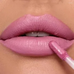 Lip Gloss Heallor Velvet Matte Liquid Lipsticks Sexy Red Nude Waterproof Lasting Non-stick Cup High Color Rendering Co