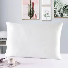 100% Nature Mulberry Silk Pillowcase Zipper Pillowcases Pillow Case For Healthy Standard Queen King Multicolor 240223