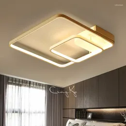 Ceiling Lights Led Square Lamps For Living Room Kitchen Flush Mount Modern With Remote Control Indoor Lighting Fixtures
