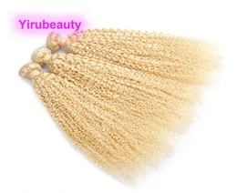 Malaysiskt mänskligt hår 10 bitar kinky curly blonde 613 färg jungfruliga hårstrån förlängningar dubbel wefts 1030inch4091609