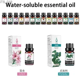 Duft 10 ml ätherische Öle aus Pflanzenfrüchten, Lavendel, Rose, Zitrone, Jasmin für Luftbefeuchter, Diffusor, Aromatherapieöl, lindert Stress, Hautpflege