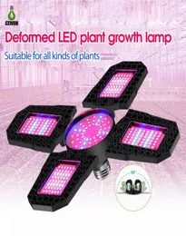 100W 120W 150W LED Grow Light Plant Lights 180leds 210leds 240leds E27 Bulb Phytolamp Red Blue For Indoor Greenhouse Vegs Seed7040279