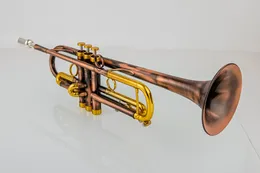 Tromba Da Cavalleria In Ottone Per Principianti - 52 Cm, Per Bambini E Orchestra - Foto 10