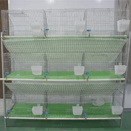 Prezzo di consulenza Articoli per animali Conigliera Una gabbia per tenere 7 conigli Utilizzato per la crescita e l'allevamento dei conigli Personalizzazione del supporto