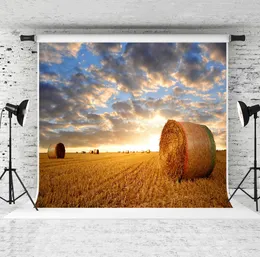 7x5ft خريف القش باليس الخلفية غروب الشمس الأزرق السماء هايستاك pography خلفية الخريف حصاد موسم PO Backdrops للعطلة 8780586