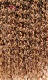 Tress Passion Синтетические плетеные волосы для наращивания волос «Бомба для страсти» Ombre Passion Braiding Hair Marley 206810836
