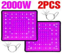 2pcs 1000W tam spektrum kapalı LED LED büyüme lambası Bitki büyüyen ışık çadır fitolampy fito uv ir kırmızı mavi 225 LED çiçek bitkileri6258263
