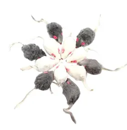 고양이 장난감 12pcs False Mouse Pet Longhaired Tail Mice Sound Rattling 부드러운 진짜 모피 삐걱 거리는 장난감 5184684