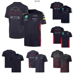 Camisetas masculinas F1 Fórmula 1 de manga curta T-shirt da equipe em torno do pescoço jersey com o mesmo personalizado