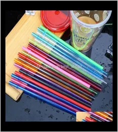 قش يمكن التخلص منه الإبداعي DIY Plastic Party Straws قابلة لإعادة الاستخدام من أجل Tumblers النحيف SN3086 G3CB0 FOIGR7542008