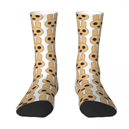 Мужские носки Coco From ACNH Animal Crossing унисекс, зимние теплые носки Happy Street Style Crazy Sock