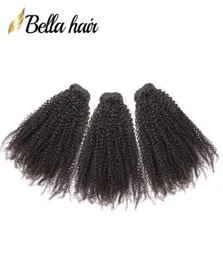 Bellahair 브라질 머리 9a 아프로 키키 곱슬 곱슬 1024 인치 인디언 묶음 말레이시아 캄보디아 페루 처녀 weaves2906157