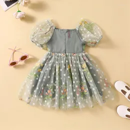 Girl Dresses Toddler Baby Summer Clothes Burnfly Flower ricamo principessa Tulle TUTU Abito Torta di compleanno Outfit