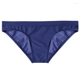 Underpants Men's Briefs Underwear Summer Soft Fashion Skinny Low Waist Lingerie Triangle Bulge Pouch