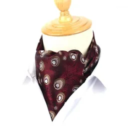 Zestaw krawata na szyi men cravat wiąże klasyczne ascot dla scrunk self brytyjski styl dżentelmen poliester jacquard cravats1268g