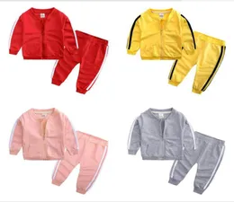 Bebek Erkek Kız Giyim Setleri Sonbahar Bebek Pamuk Sporları Fermuar Ceket Biçimi 2 PCS Yenidoğan Boy Bebes Tracksuit5509049