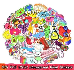 100 st VSCO Vattentäta vinylklistermärken Pack för barnflickor till DIY Laptop Water Bottle Bagage Scrapbook Bike Car Guitar Decals Hom7526516