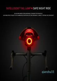 Bisiklet Arka Işık Otomatik Fren Algılama USB Ücret Algılama LED Dağlar Bisiklet Seatpost Bike Arka Hava Uçağı Geri Işık Acce2568611