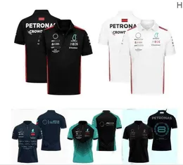Camisetas masculinas F1 Fórmula 1 Racing Polo Suit Equipe de verão T-shirt de manga curta Mesmo personalizado D961