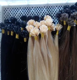 Straight stye 100g prebonded Dail Hair u tip extensions 16quot18quot20quot2quot24quot color 1b 6 60 Indian R662738