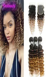 Cabelo humano brasileiro malaio indiano peruano onda profunda tramas de cabelo virgem 3 pacotes com fechamento de renda 4x4 1b427 ombre cor thr3889355