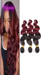 브라질 인간 인간 처녀 머리 Yirubeauty Body Wave 1B 99J Ombre 컬러 인디아 페루 말레이시아 이중 Wefts 1030inch2131592