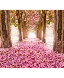 Pink Flowers Cherry Blossoms Backgrounds for Studio Petals Covered Road Trees Children Kids Outdoor Scenic Floral Pography Back8474190