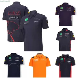 Męskie Polos F1 Formula 1 Racing Polo Suit Team Lapel T-shirt w tym samym stylu konfigurowalnym BR1B