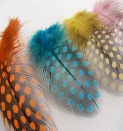 Spotted Feather Extension Featers Extensions 100 Feathers 100 Beads STF0011464897